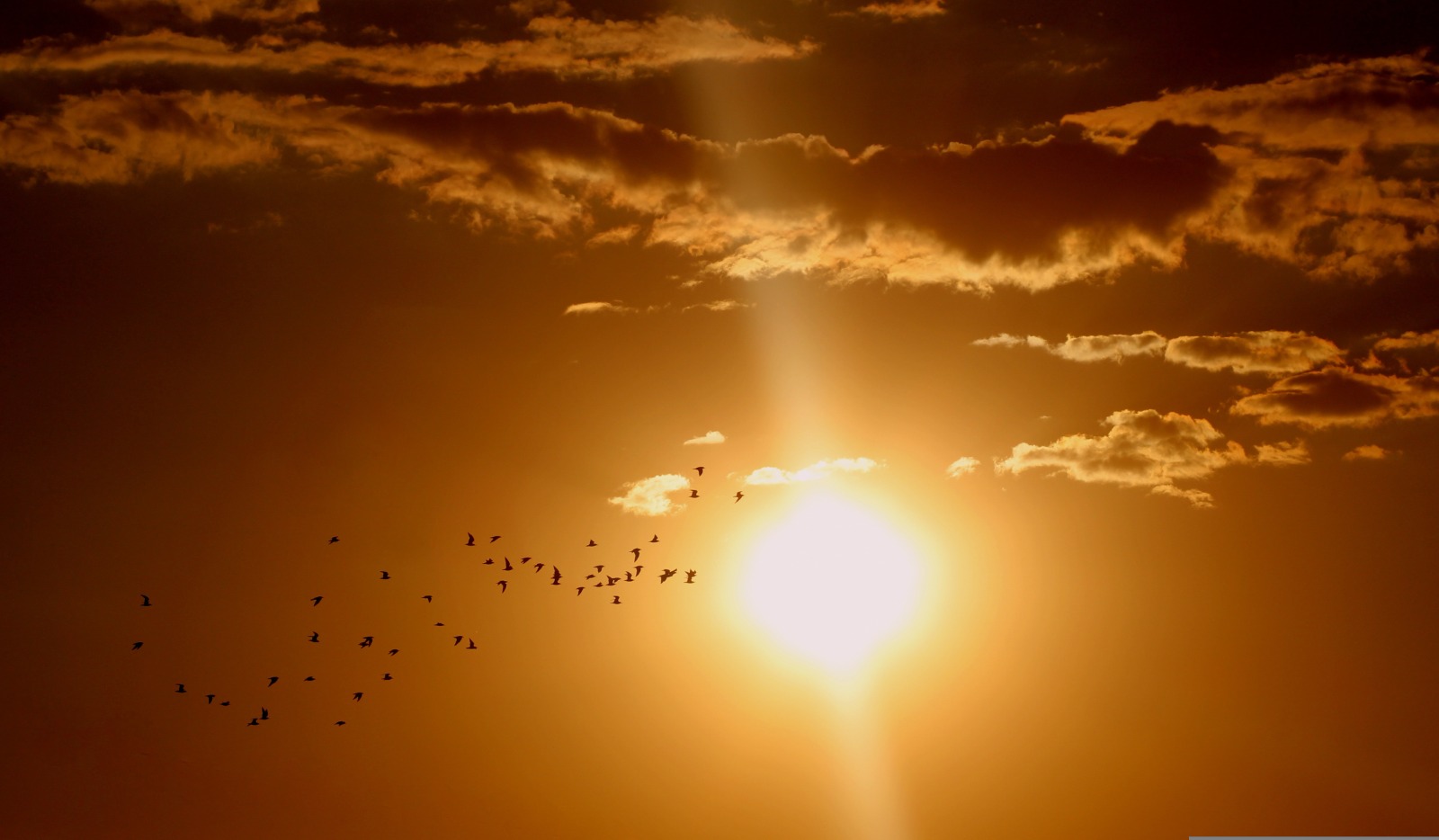 in foto una immagine del sole cocente
