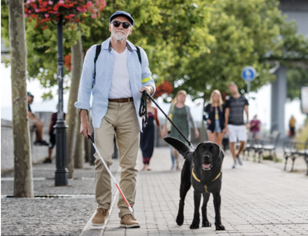 L'immagine ritrae un uomo non vedente con barba bianca, occhiali da sole e cappello, mentre cammina lungo un marciapiede alberato, ha un bastone bianco nella mano destra e conduce al guinzaglio un cane guida Labrador nero con la mano sinistra.